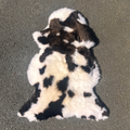 Jacob Premium Sheepskin